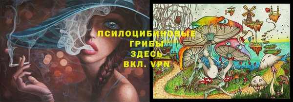 МДПВ Горно-Алтайск